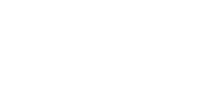 Velt Scale
